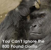 f_800_pound_gorilla.jpg