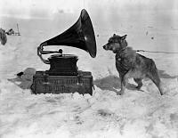1911_Dog_and_Gramophone_Antartica.jpg