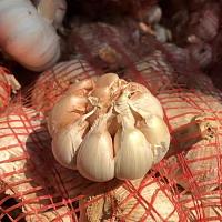 fc4eSuper-Quality-Chinese-Fresh-Garlic.jpg