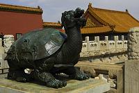     
: BeijingDragon-Turtle.jpg
: 0
:	150.0 
ID:	152438